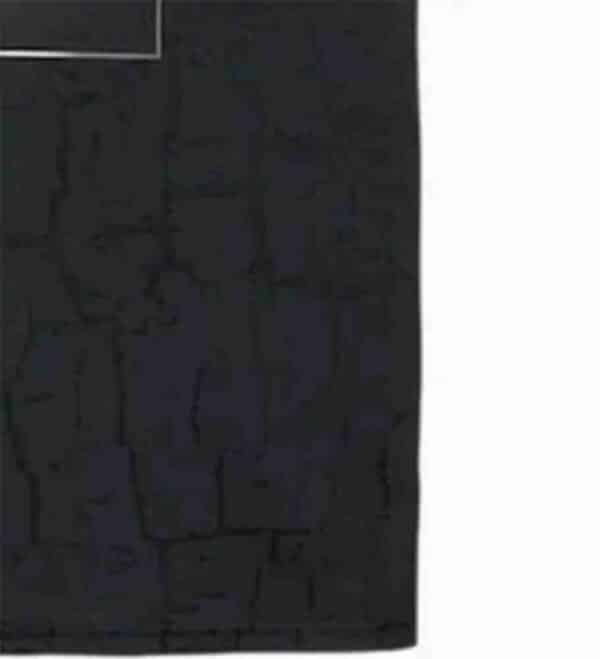 camiseta edicion especial borussia dortmund 2024 negro frontal detalles barata