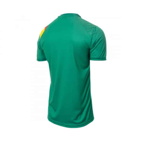 camiseta camerun 2022 local verde mundial barata