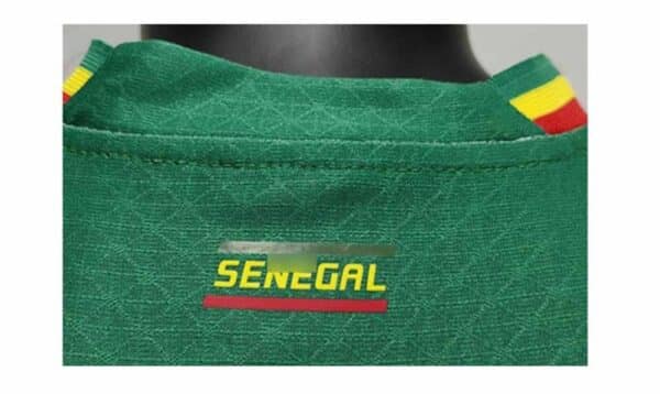 camiseta senegal 2023 visitante verde detalles de espaldas barata