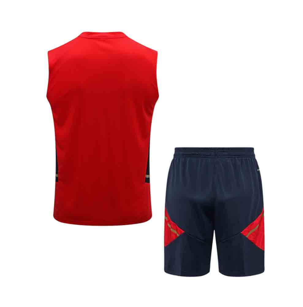 camiseta entrenamiento ajax 2024 rojo de espaldas barata