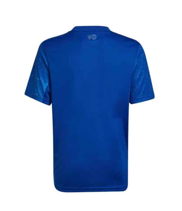 camiseta cruzeiro 2023 local azul frontal de espaldas barato