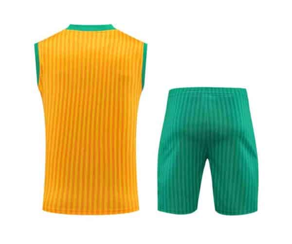 camiseta entrenamiento bayern 2023 amarillo de espaldas barata